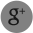 Google +